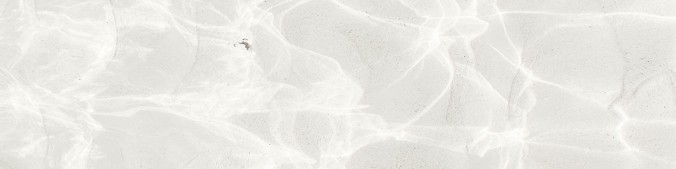 Calm, clear water surface with gentle reflections.