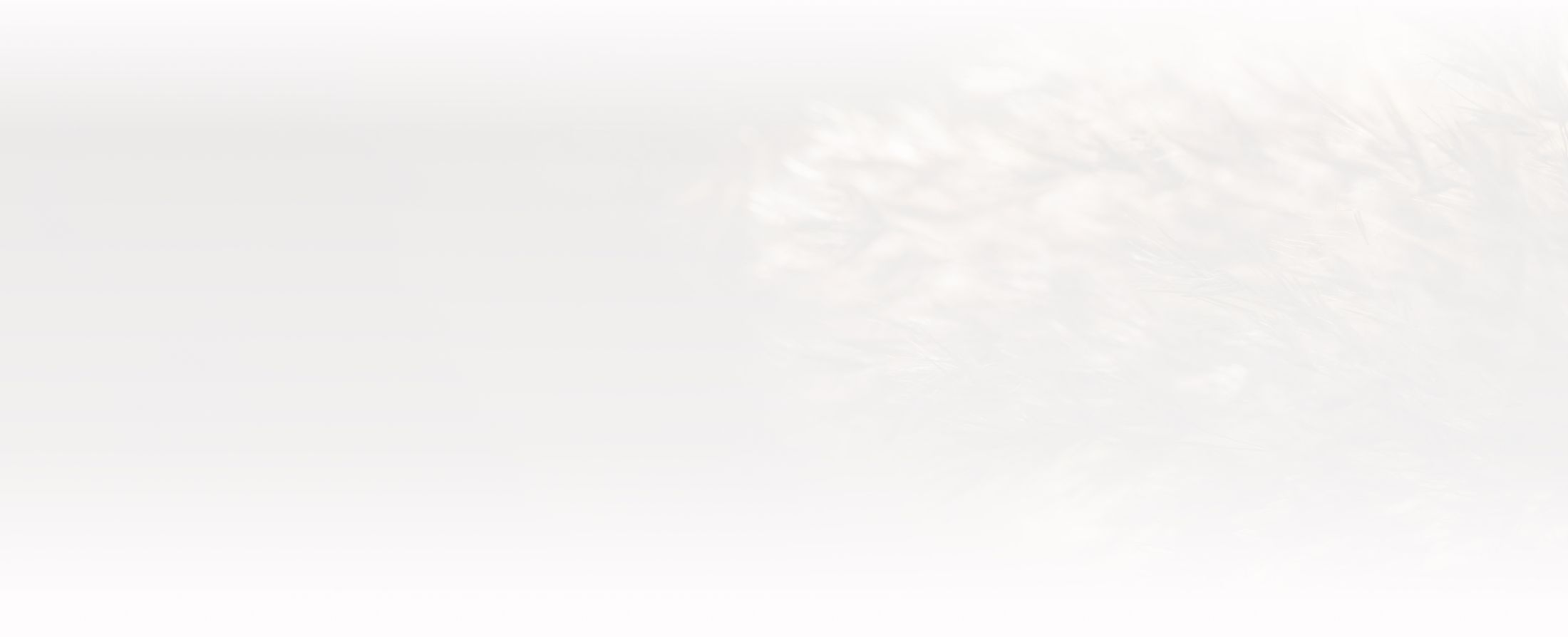 Abstract blurred background with soft, light colors.